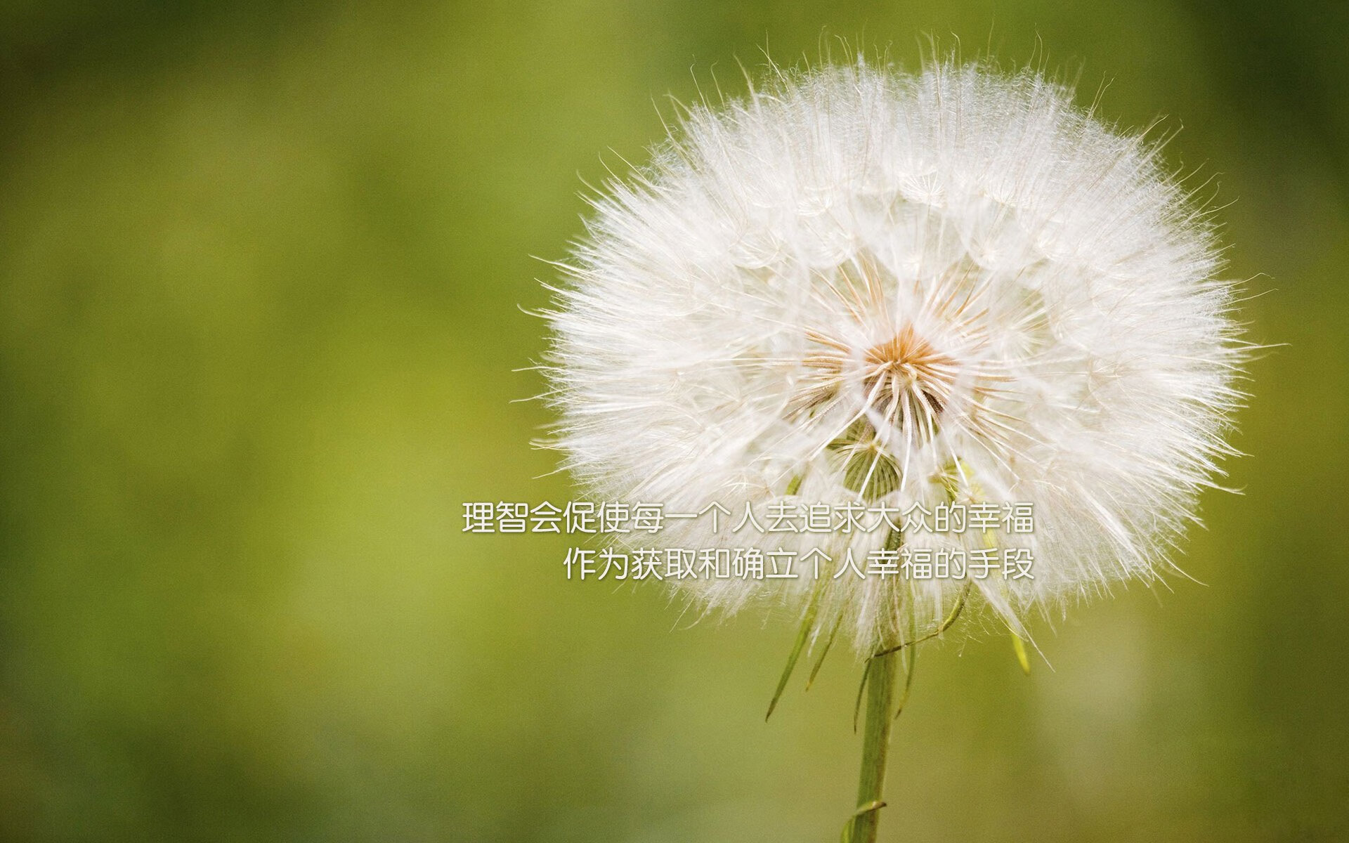 高校运动员训练负荷科学监测与管理研究,运动训练学负荷量