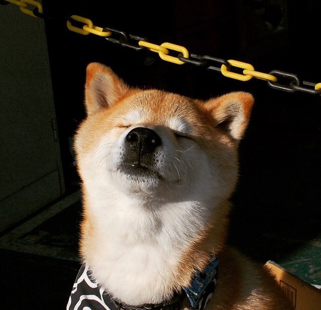 爱游戏官网app-中国篮球鼓励跨项目运动员转型拓展人才来源，中国篮球人才选拔机制