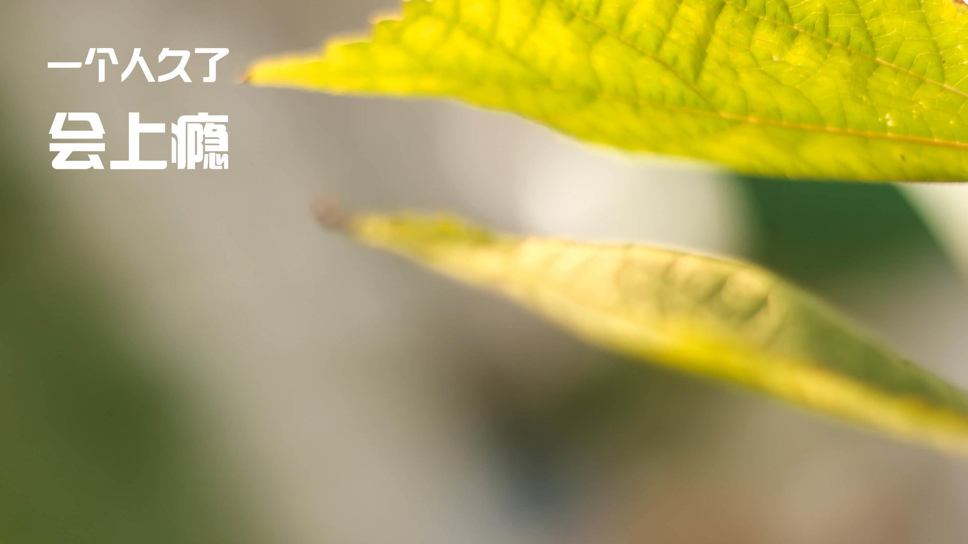 中国篮球鼓励跨项目运动员转型拓展人才来源,中国篮球人才选拔机制