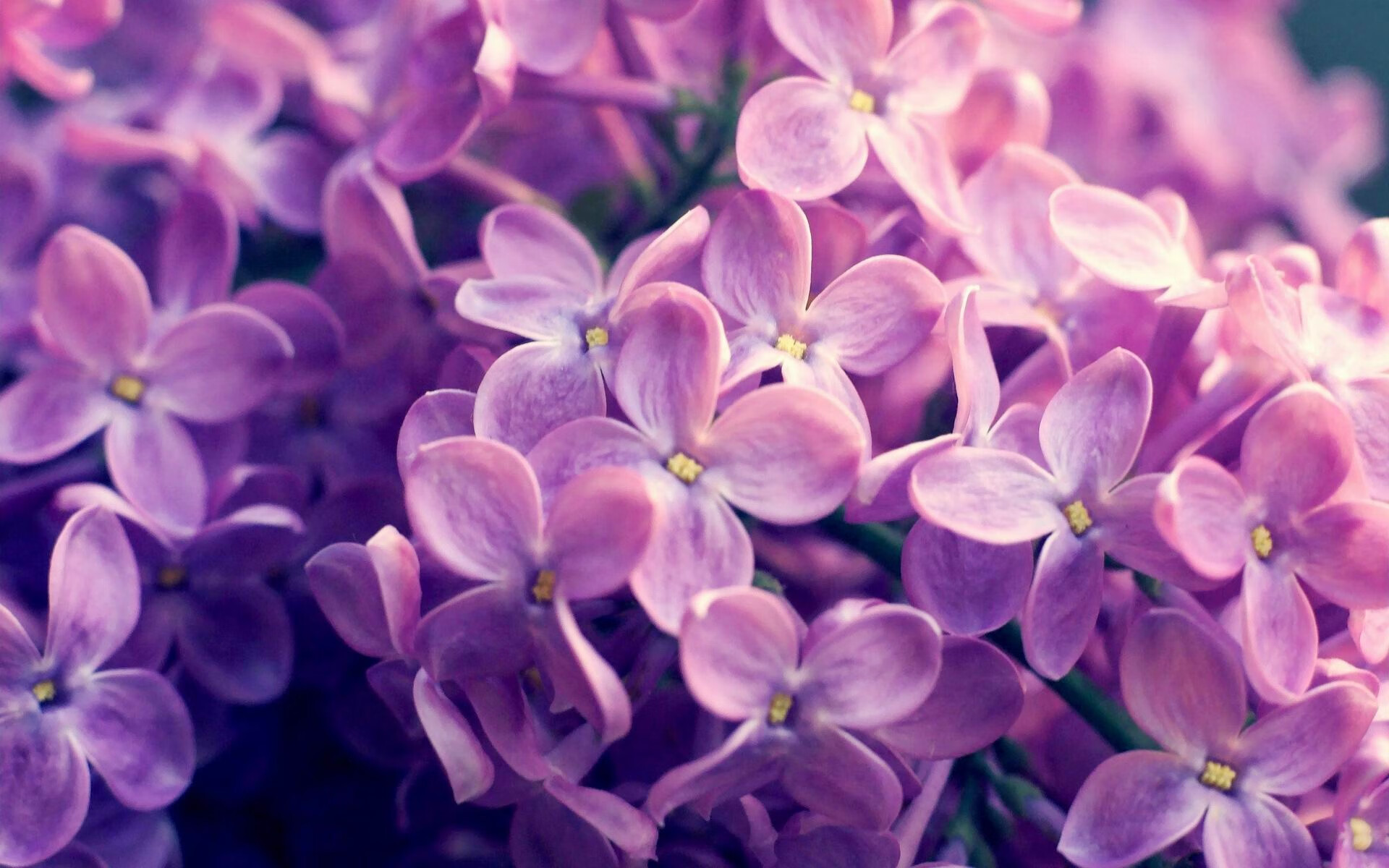 爱游戏体育娱乐-中立代表队B混合接力赛场勇敢拼搏