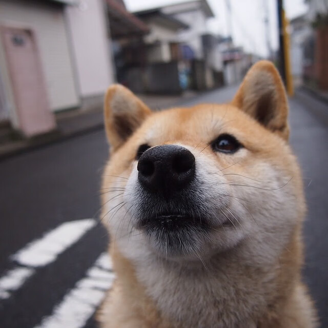 爱游戏ayx-平台上线全场数据可视化图表方便球迷深入了解比赛走势变化，球赛动态