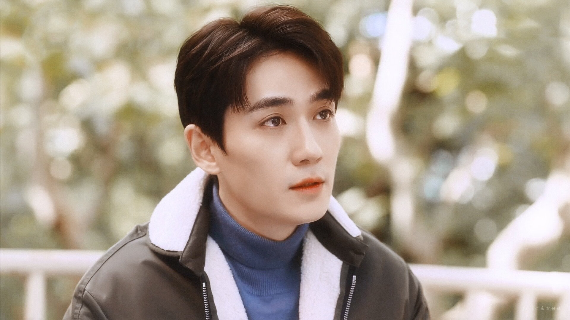 波兰女篮在欧洲锦标赛中奋勇拼搏,争夺金牌,波兰女篮在欧洲锦标赛中奋勇拼搏,争夺金牌