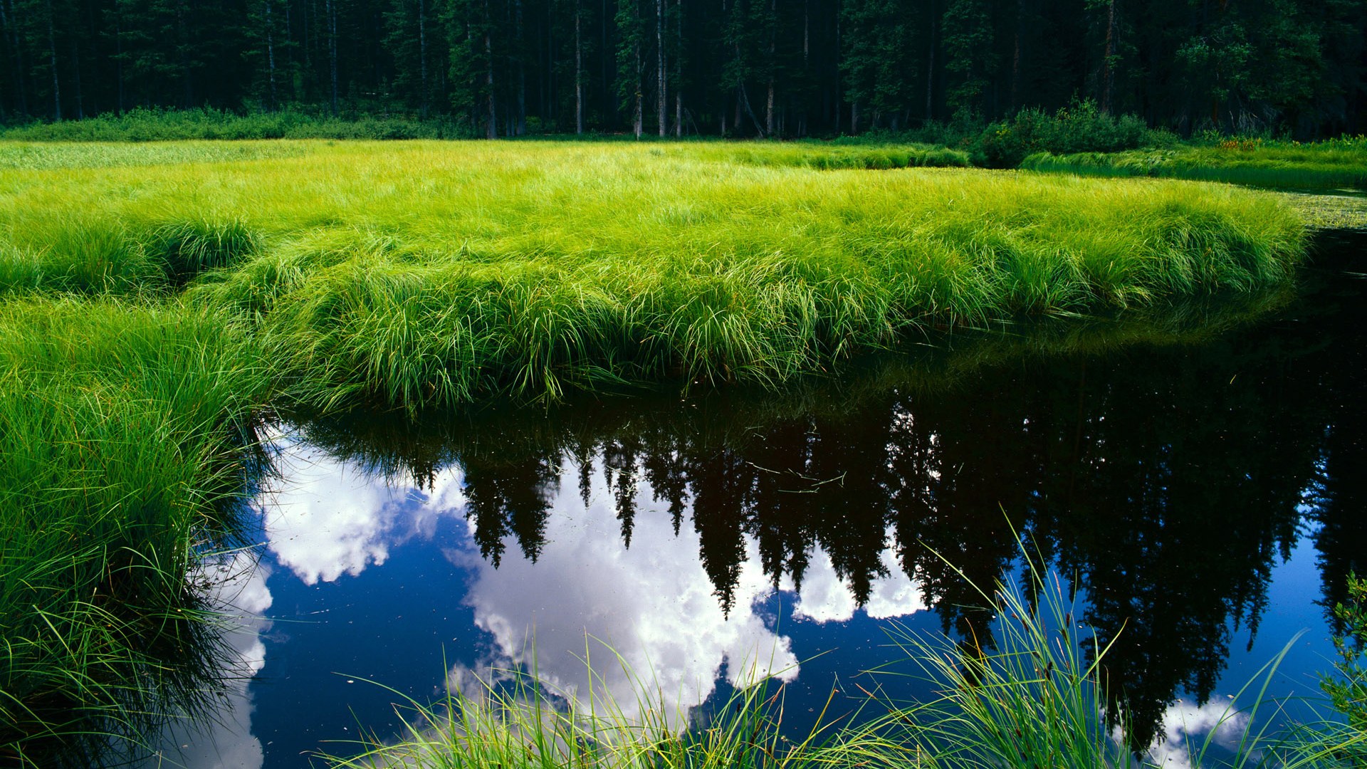 男子国家队设立多岗位轮训制度开发球员潜能